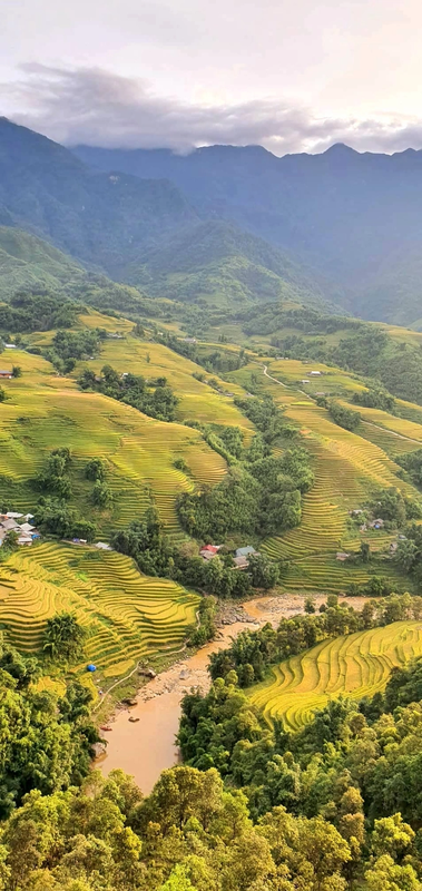 Sa Pa mua lua chin dep nhu tranh ve-Hinh-2