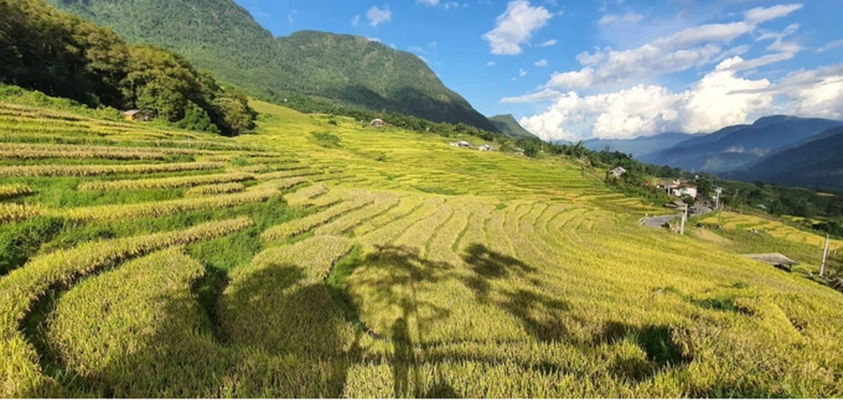 Sa Pa mua lua chin dep nhu tranh ve-Hinh-3