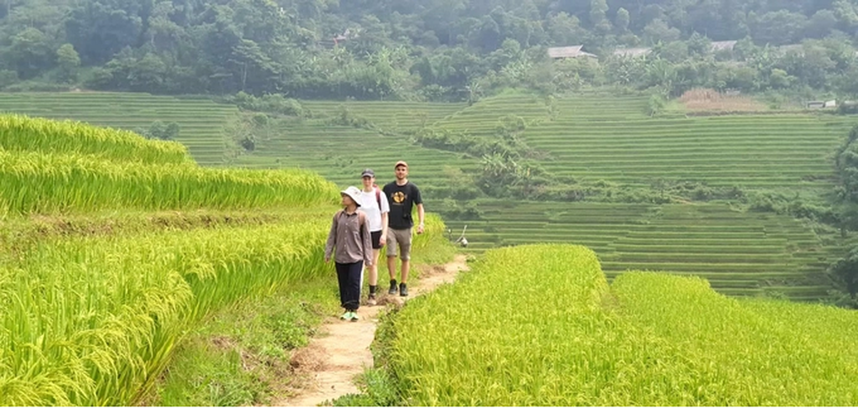 Sa Pa mua lua chin dep nhu tranh ve-Hinh-5