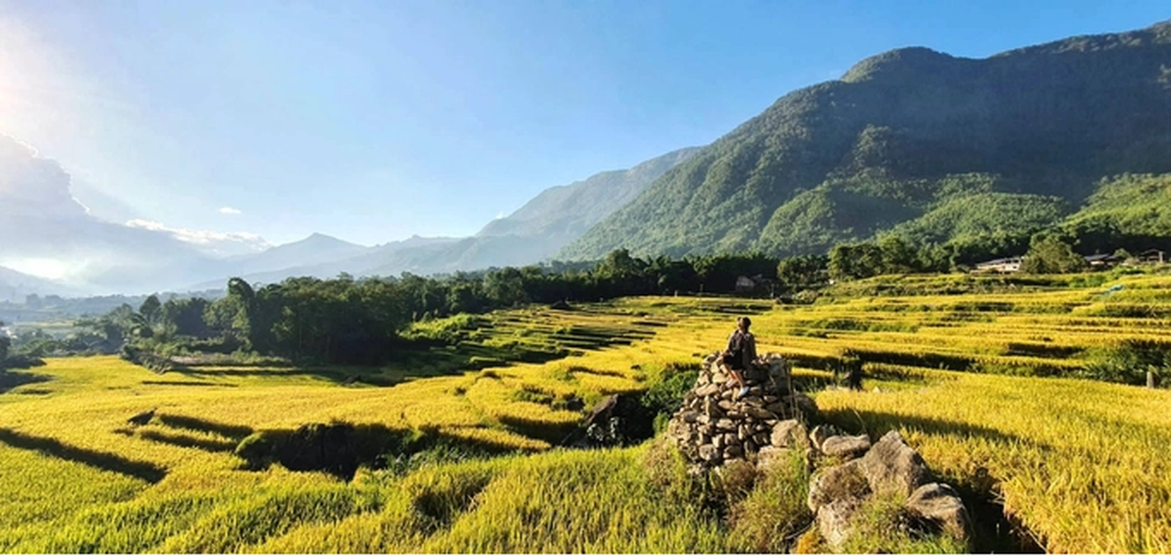 Sa Pa mua lua chin dep nhu tranh ve