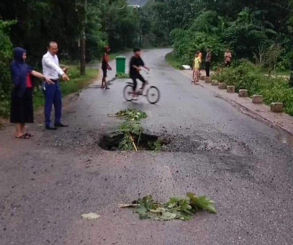 Hai hung canh “ho tu than” nuot duong giao thong o Quang Tri