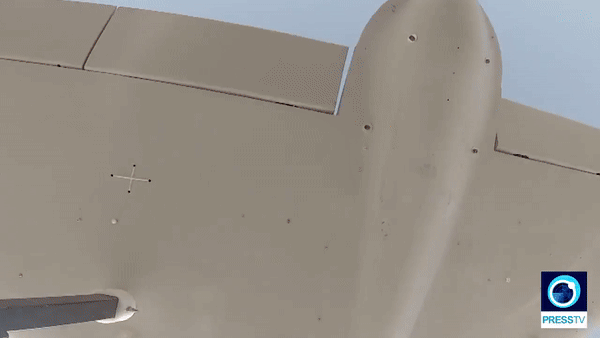 Loat UAV cam tu Iran su dung trong don tap kich vao Israel-Hinh-5