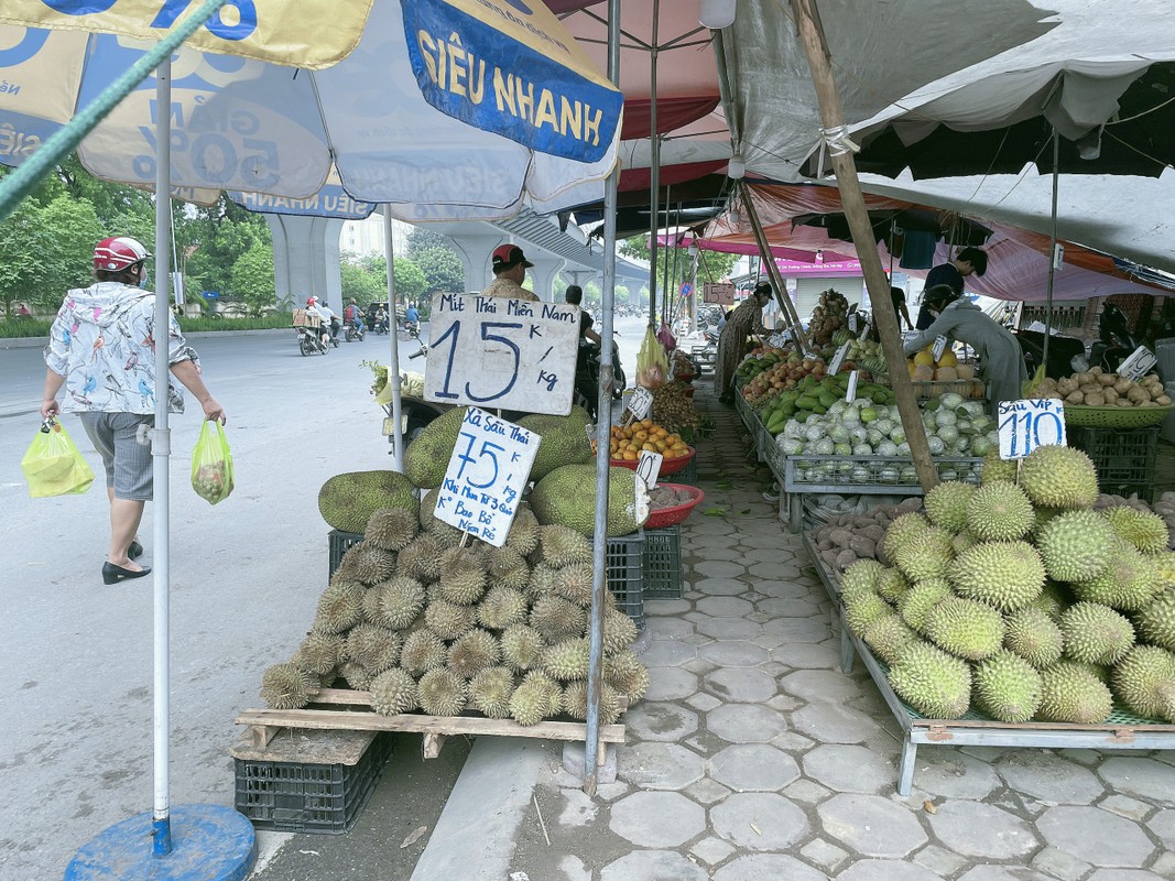 Bat nhao tinh trang chiem dung long duong de kinh doanh o Ha Noi-Hinh-2