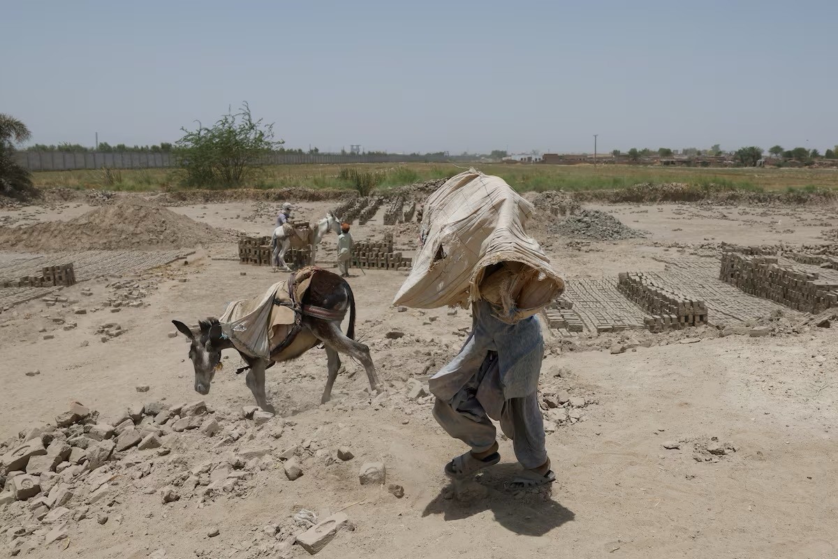 Canh nguoi dan Pakistan vat lon voi cai nong “thieu dot” 52 do C-Hinh-16