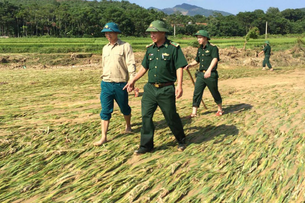 Lu cuon tan tac may thi cong thuy dien o Nghe An-Hinh-7