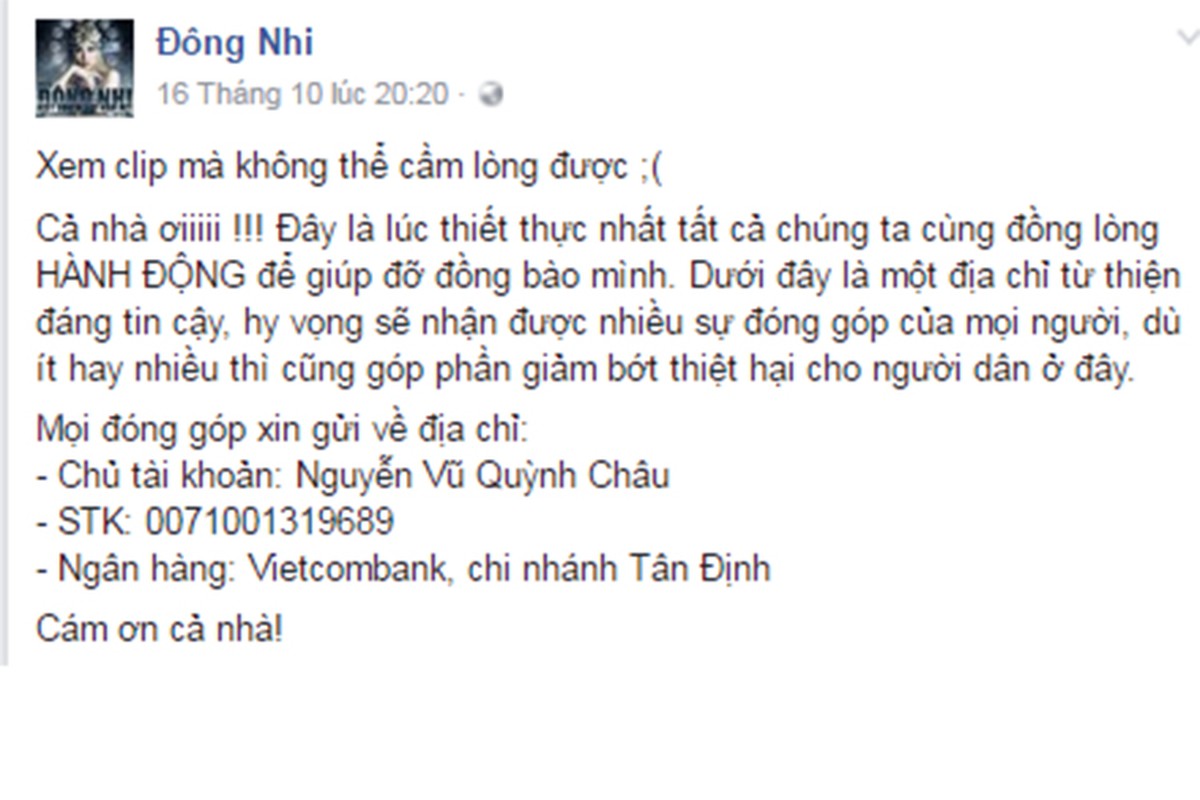 Loat sao Viet ung ho dong bao mien Trung so tien khung-Hinh-8