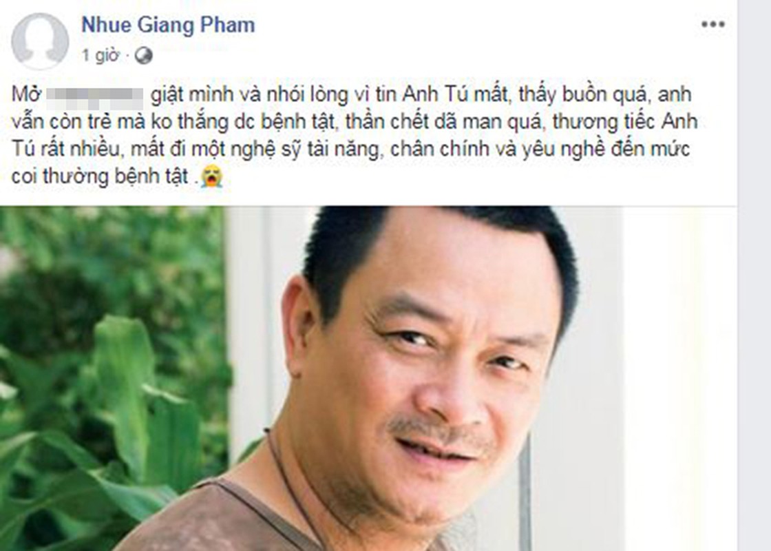 Sao Viet bang hoang tiec thuong NSND Anh Tu qua doi o tuoi 56-Hinh-9