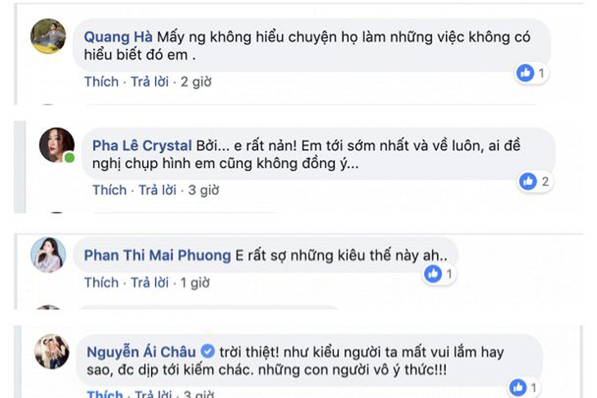 Ngoc Lan buc xuc khi dam dong livestream phan cam tai dam tang Anh Vu-Hinh-12