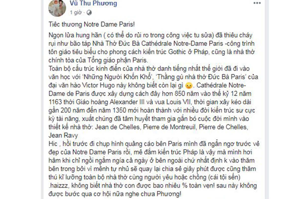 Vu chay Nha tho Duc Ba Paris: Sao Viet dau xot, cau nguyen-Hinh-7