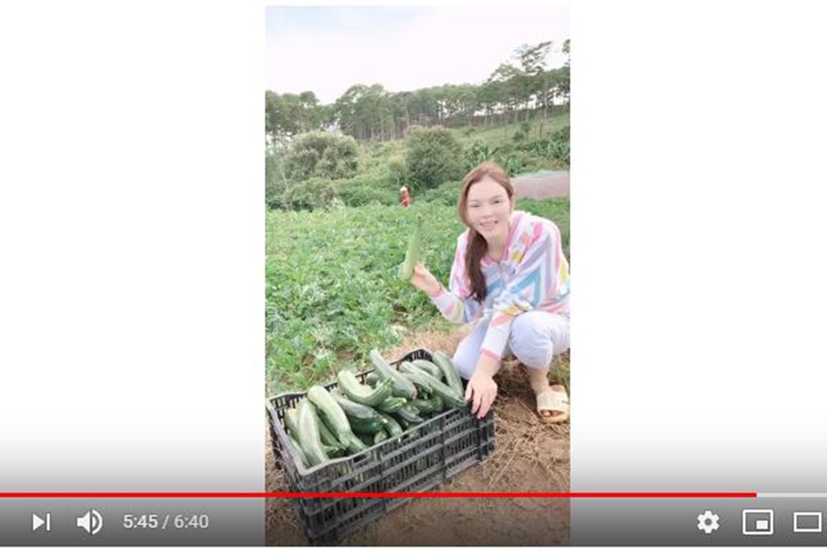 Cuoc song gian di trong rau, nuoi ga cua Ly Nha Ky o nong trai 50 hecta-Hinh-2