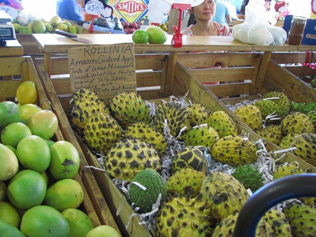 Qua xau xi chang ai nghi la “mo tien”, gia ban vai tram nghin/kg-Hinh-6