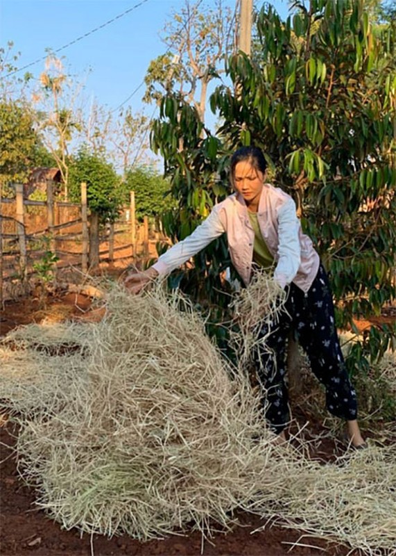 Doi doi voi thu nhap khung, H’hen Nie song gian di den kho tin-Hinh-7