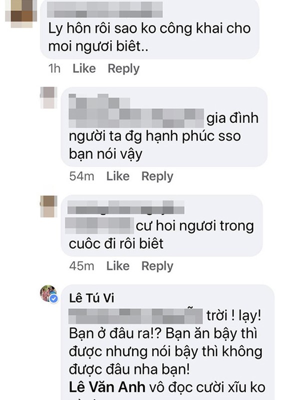 Ngoai Tran Thanh, sao Viet nao bi vu khong, tung tin don nham?-Hinh-8