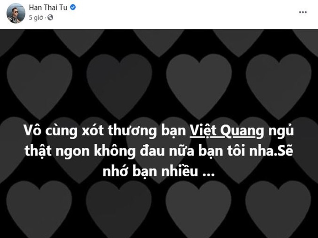 Sao Viet tiec thuong ca si Viet Quang qua doi-Hinh-7