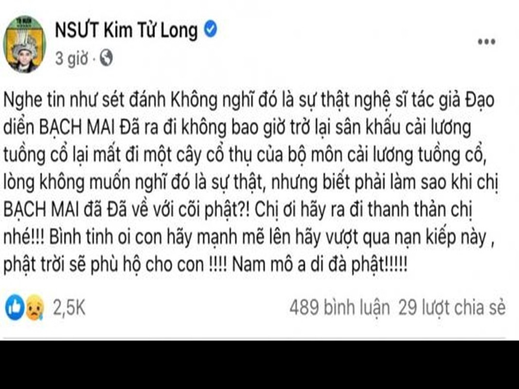 Viet Huong nua dem den benh vien lo hau su nghe si Bach Mai-Hinh-6