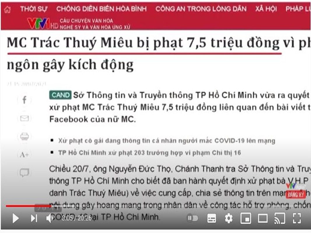 Loat sao Viet dinh lum xum bi VTV diem ten tren song-Hinh-6