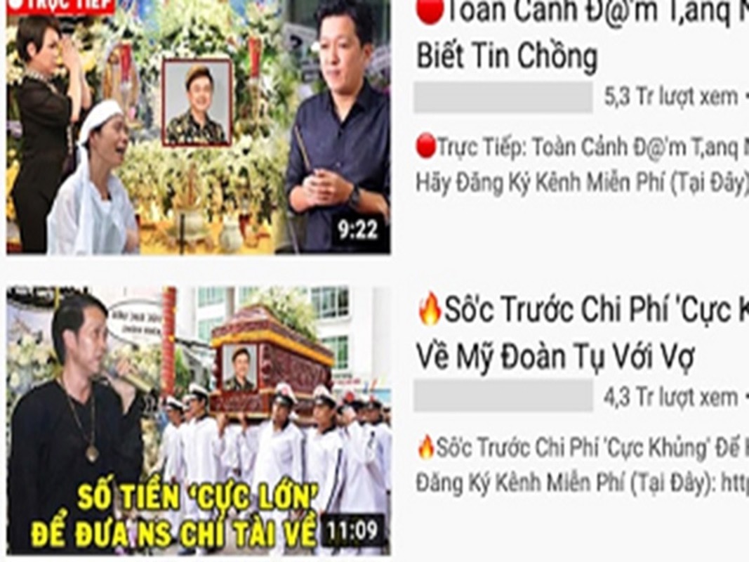 Phan cam tro truc loi tu dam tang Phi Nhung va loat nghe si-Hinh-3