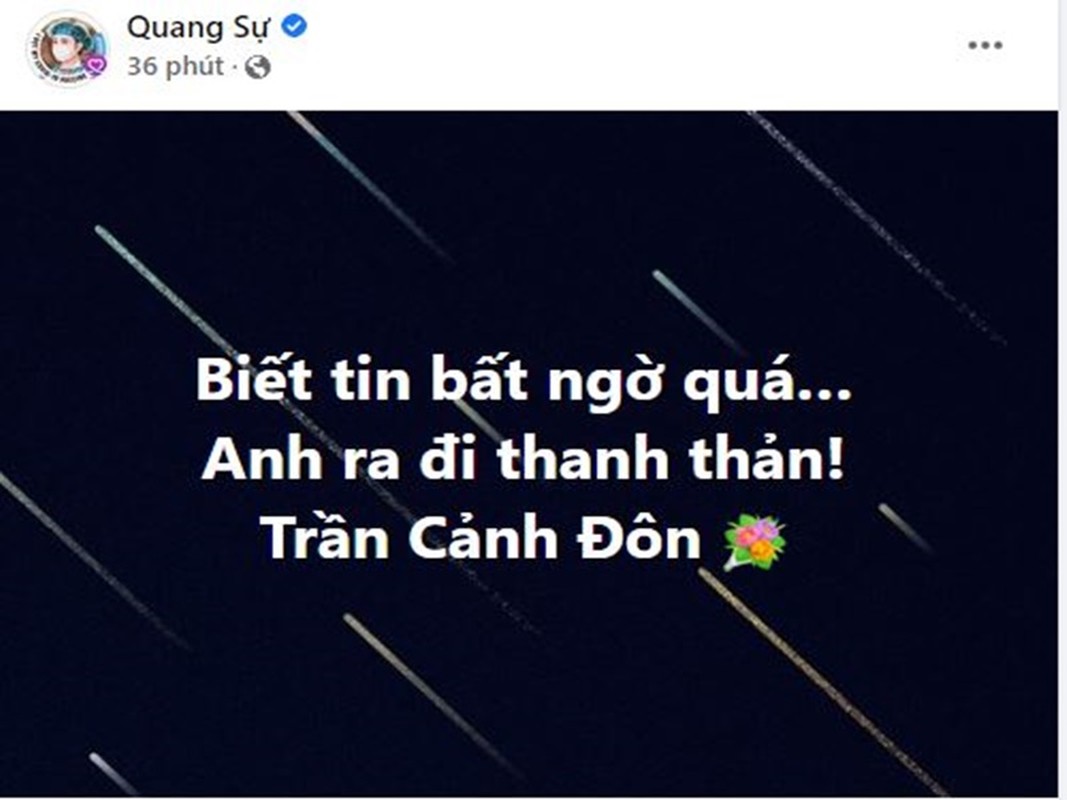 Sao Viet bang hoang khi dao dien Tran Canh Don qua doi-Hinh-10