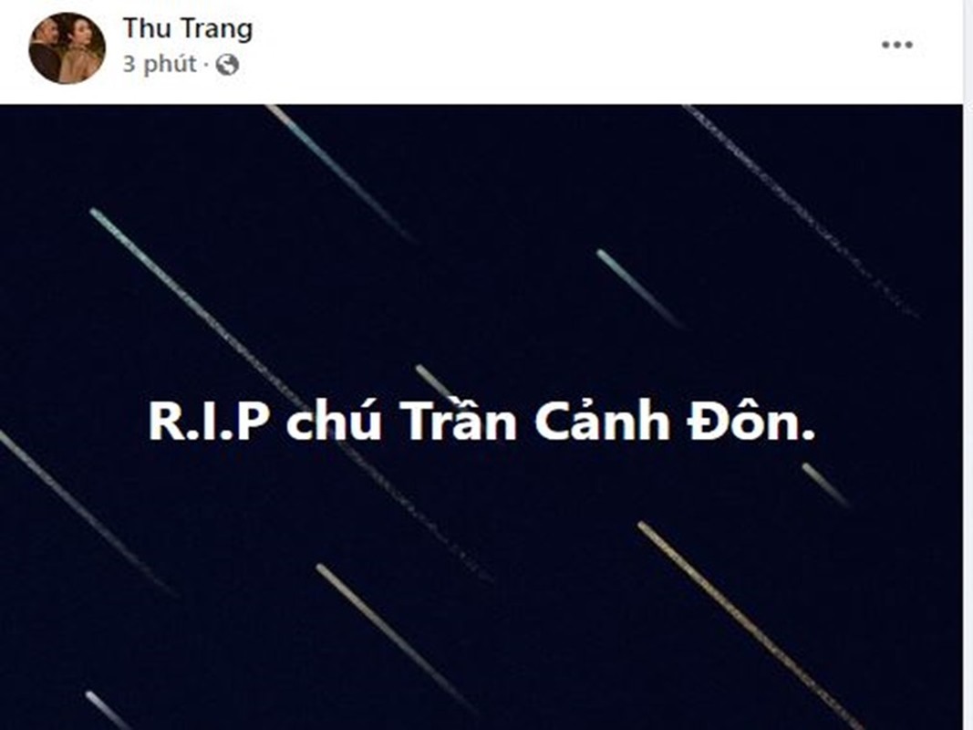 Sao Viet bang hoang khi dao dien Tran Canh Don qua doi-Hinh-11