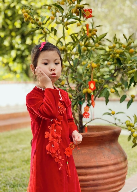 Dien ao dai don Tet, nhoc ti nha sao Viet bieu cam hai huoc-Hinh-11