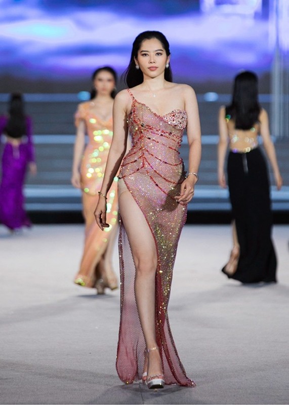 Nam Em noi gi khi truot giai phu dau tien cua Miss World Vietnam?-Hinh-4