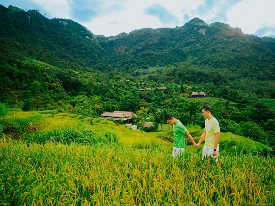 Hon nhan nhu mo cua cap doi dong tinh hanh phuc nhat Vbiz-Hinh-5