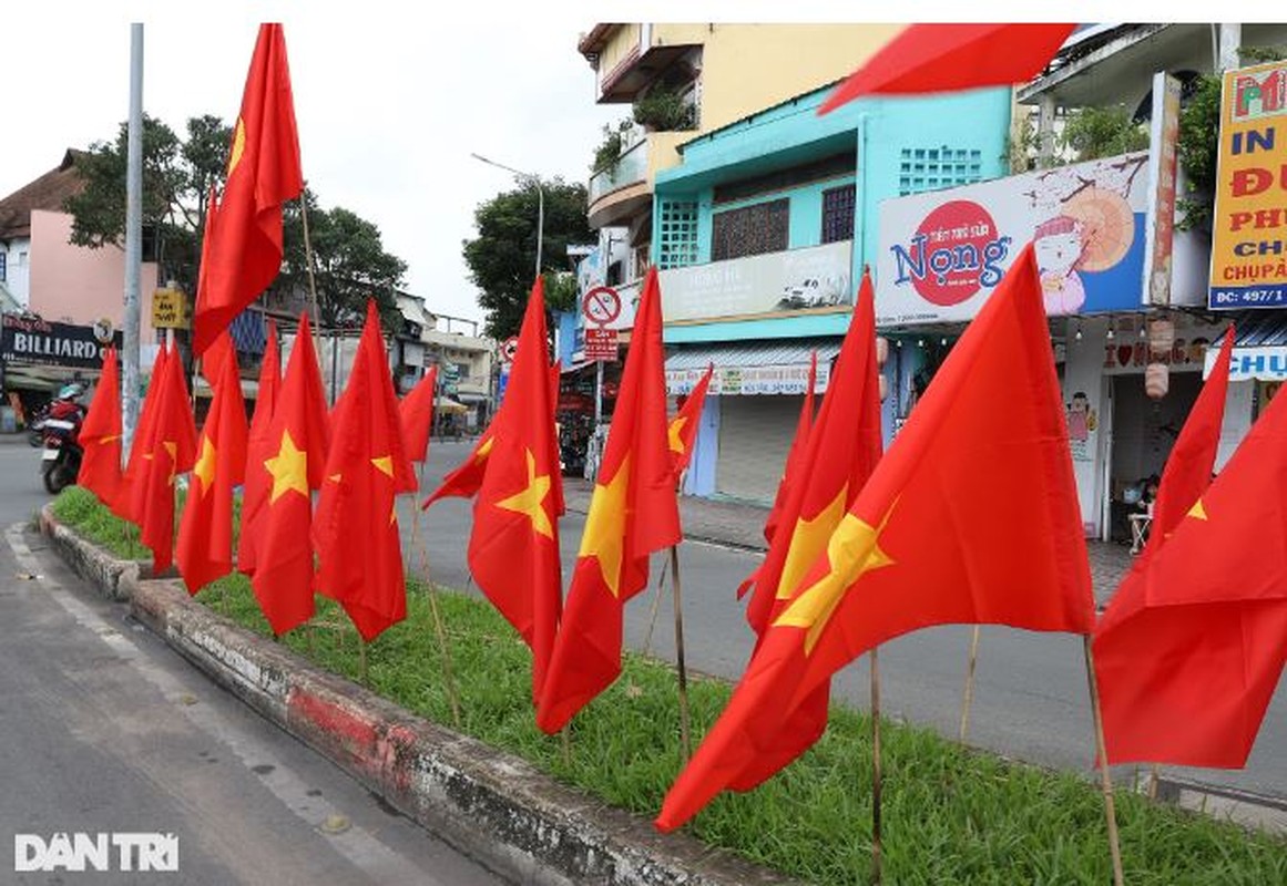 Duong pho TPHCM rop co hoa chao mung Quoc khanh 2/9-Hinh-10