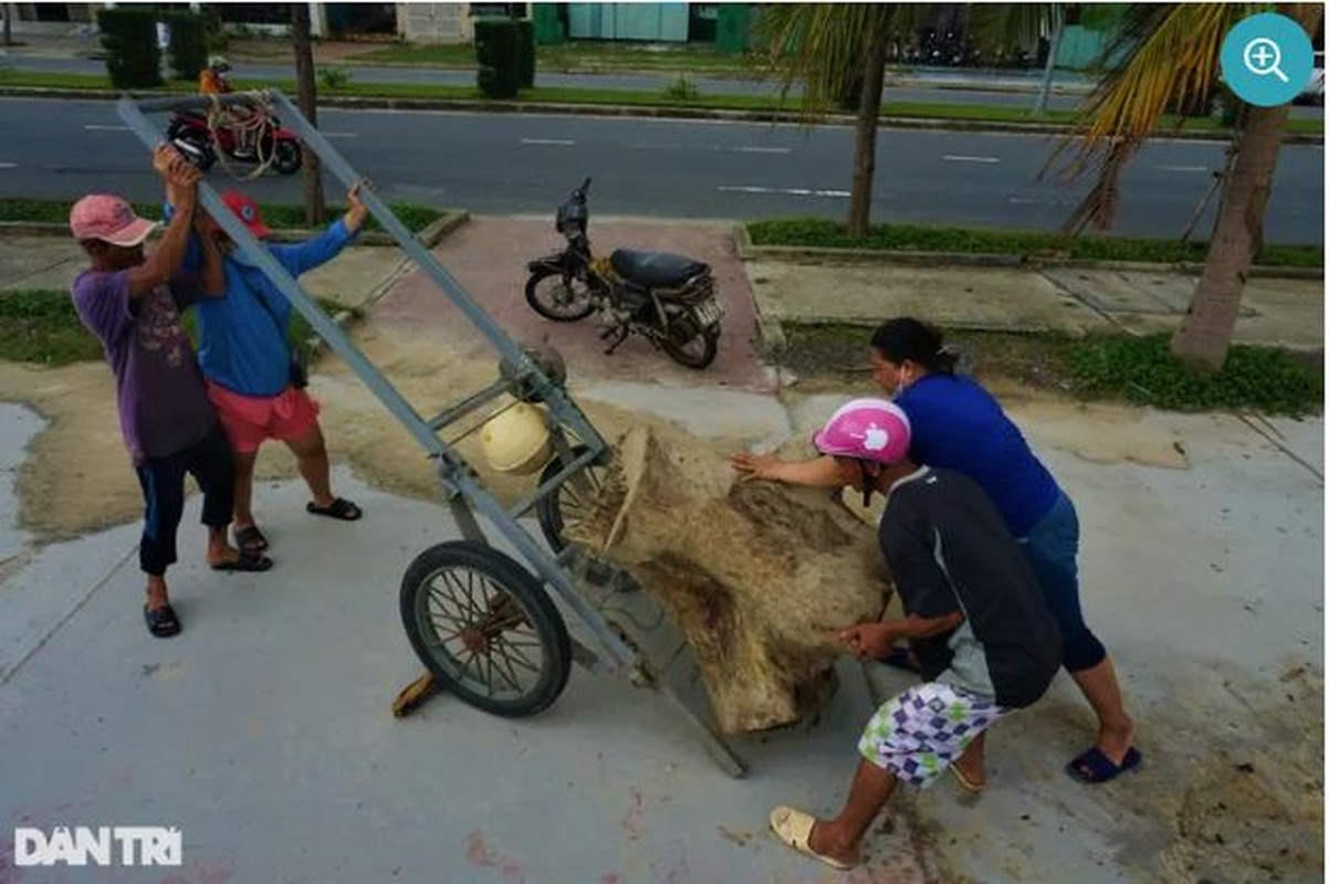 Nguoi dan do xo nhat cui sau mua lon, kiem tien trieu moi ngay-Hinh-11