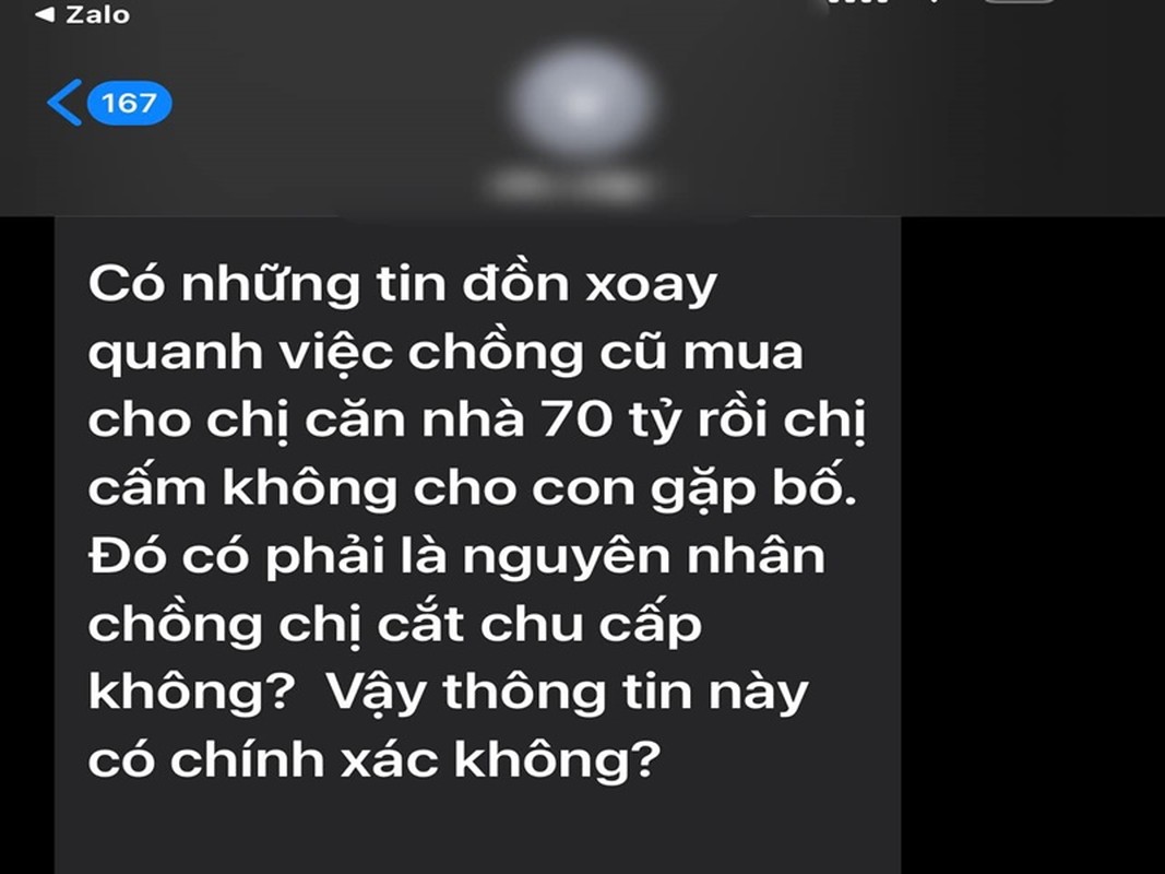 Cuoc song cua Elly Tran ra sao hau ly hon chong Tay?-Hinh-4
