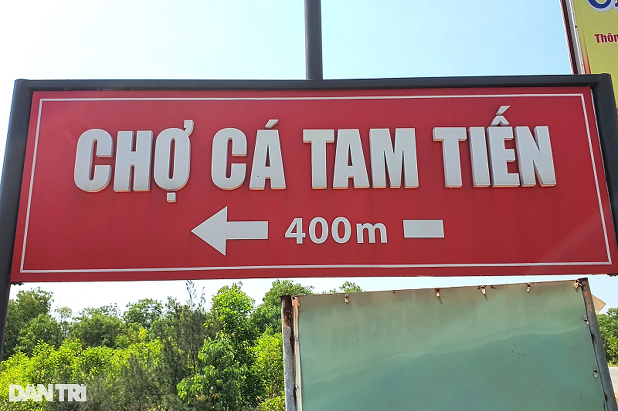 Hinh anh cho ca tren bai bien lon nhat mien Trung