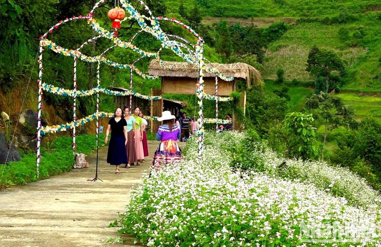 Don Tet Doc Lap cung nguoi H’Mong o thuong nguon song Chay-Hinh-4