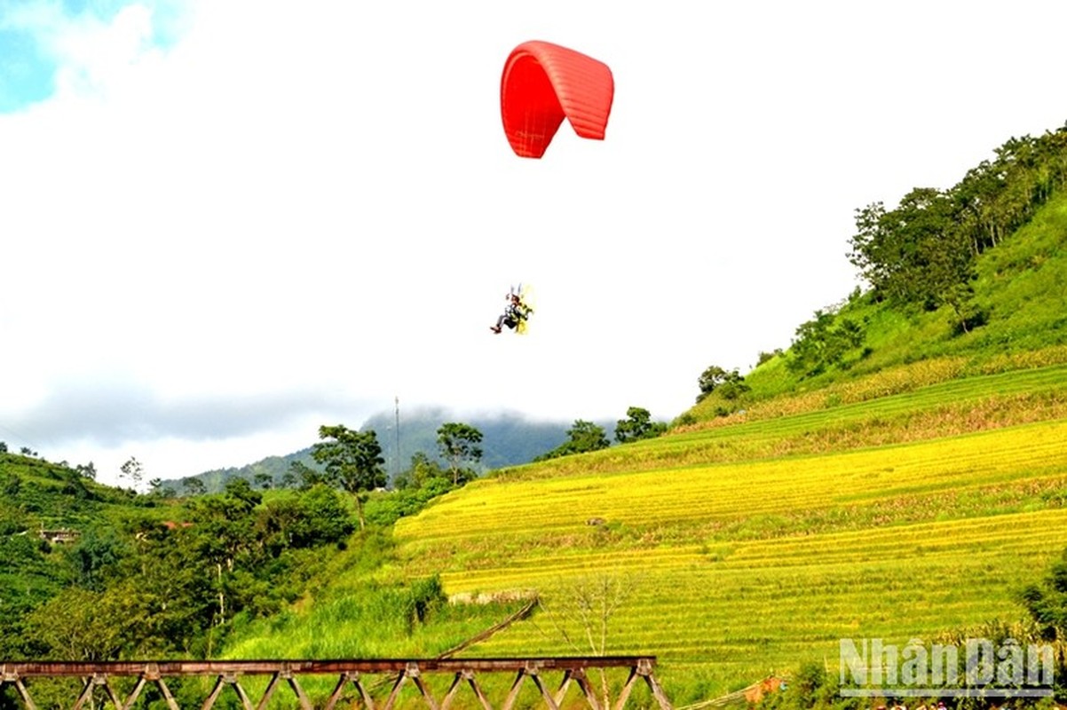 “Mua vang” noi con song Hong chay vao dat Viet-Hinh-11