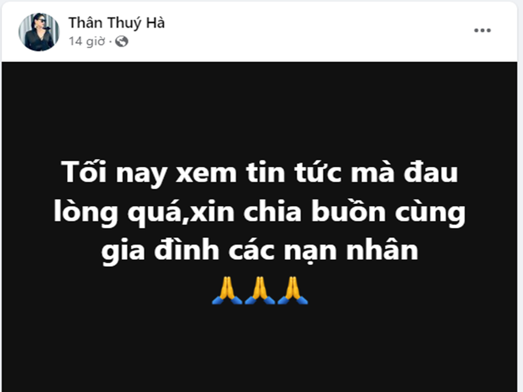 Sao Viet dau buon truoc vu chay chung cu mini o Ha Noi-Hinh-7