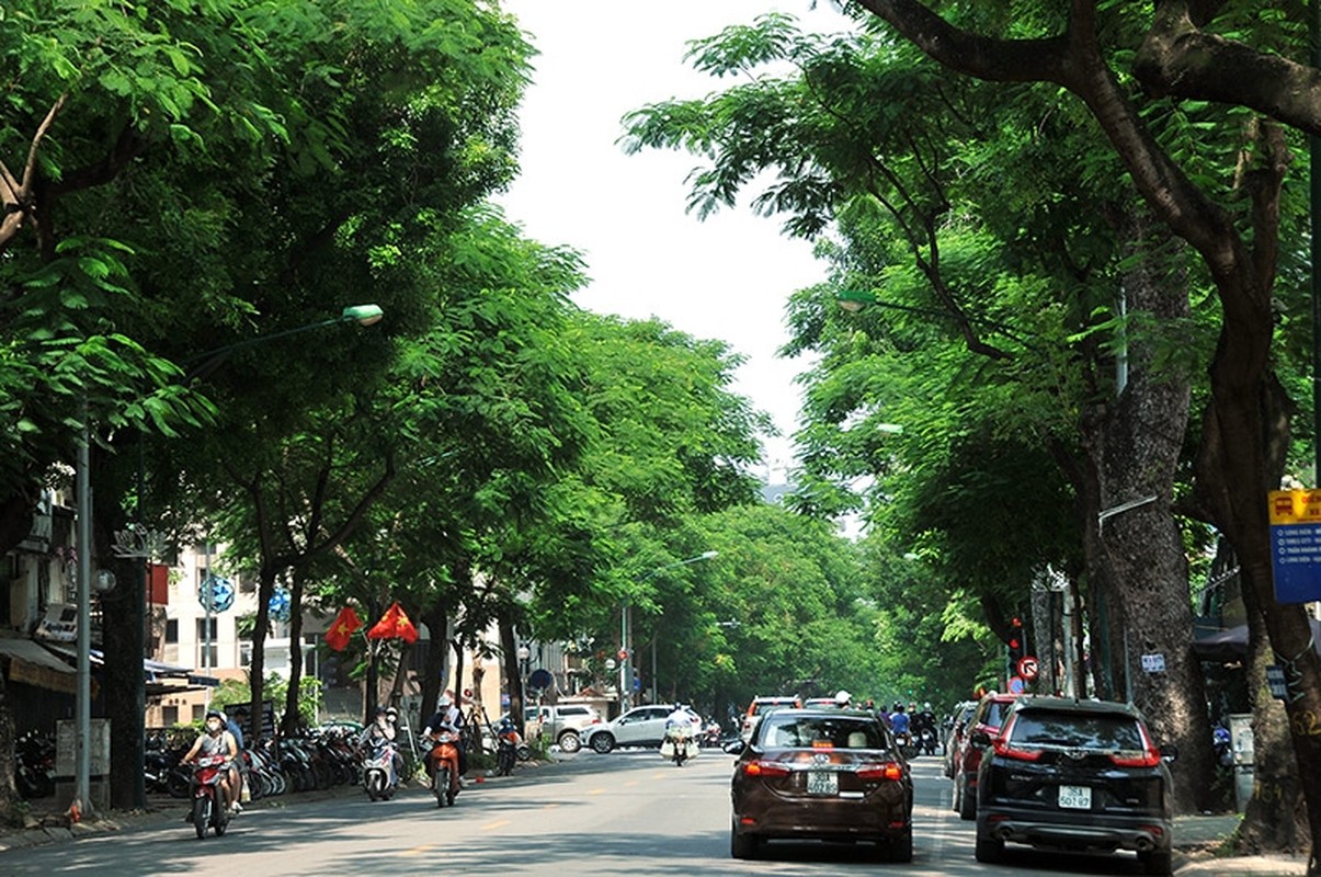 Ha Noi diu dang mua Thu-Hinh-10