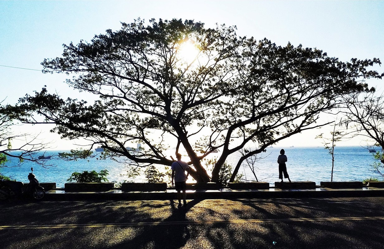 Ngam hoang hon tuyet dep o Vung Tau-Hinh-8