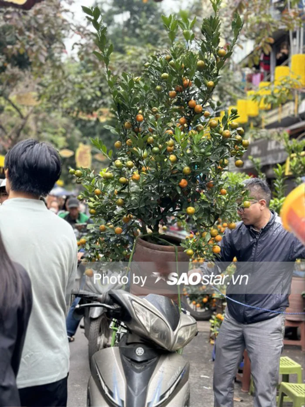 Nguoi Ha Noi ron rang xuong pho, cho Tet ve nha-Hinh-2