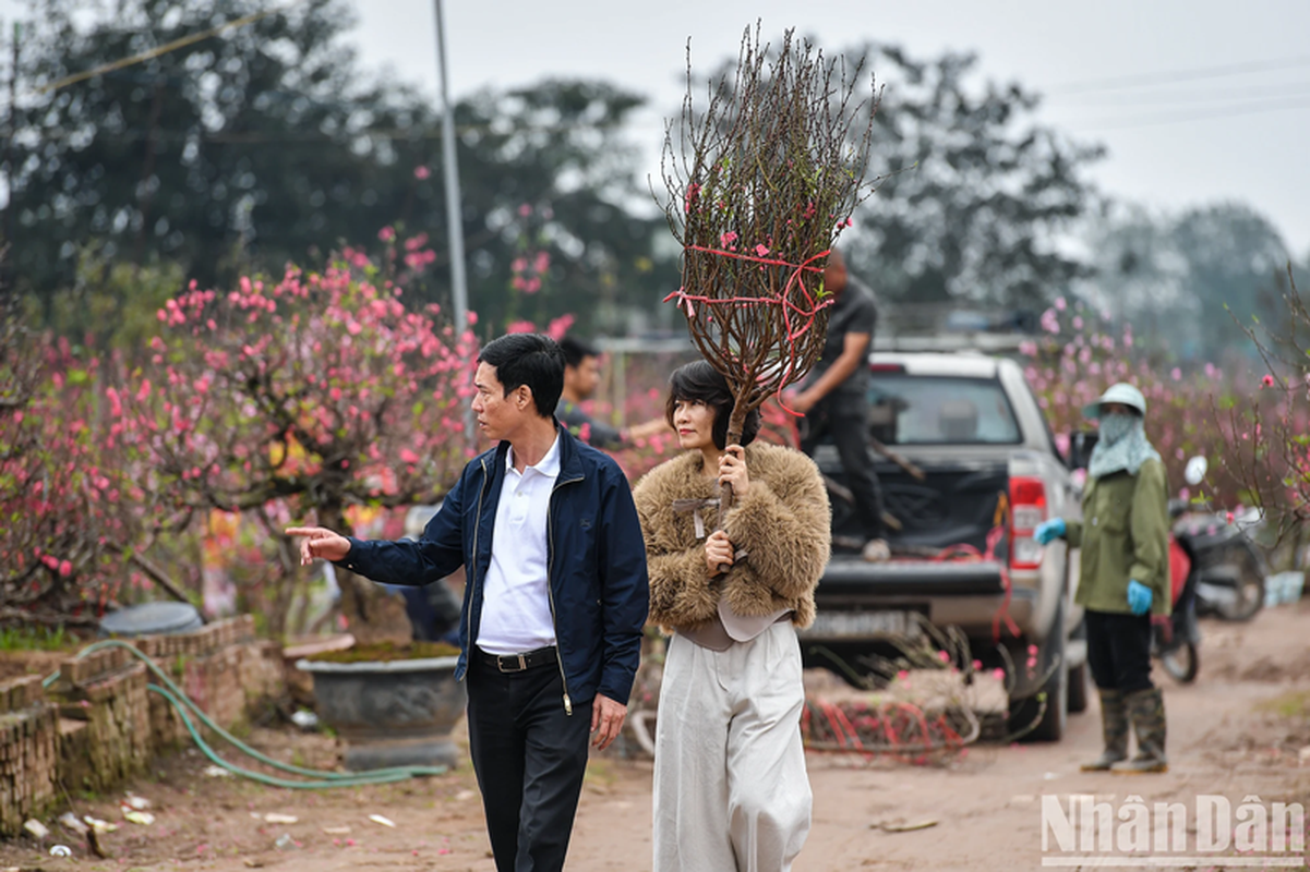 Lang dao Nhat Tan – Phu Thuong khoe sac ngay giap Tet-Hinh-12