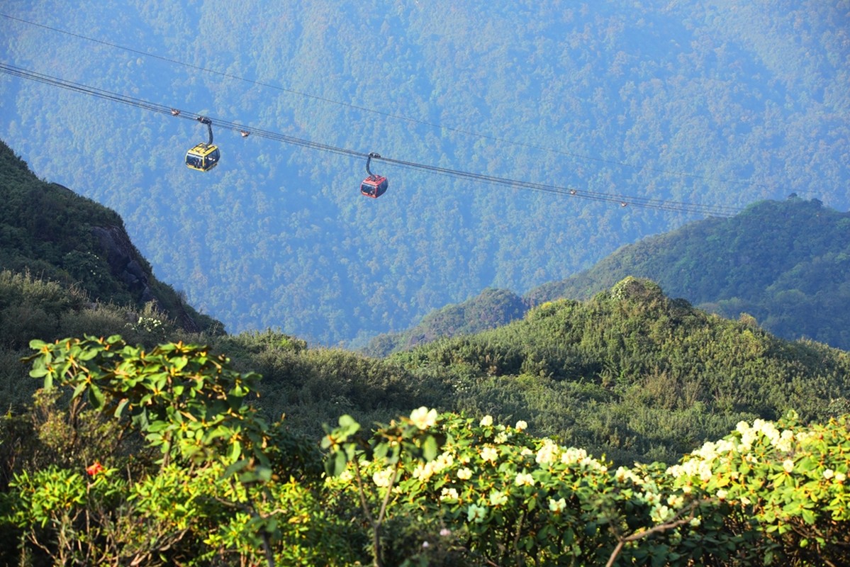 Mua hoa dep nhat tren dinh Fansipan-Hinh-7