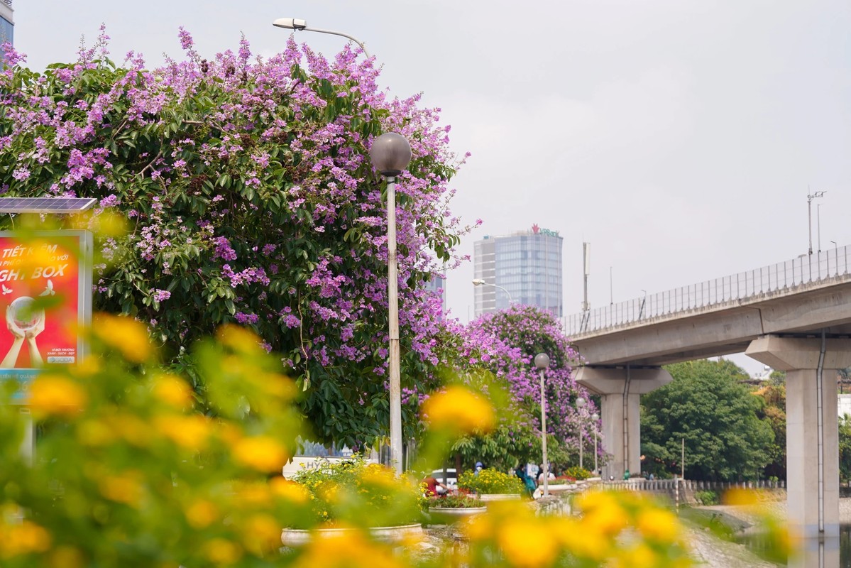 Pho phuong Ha Noi nhuom tim bang lang-Hinh-12