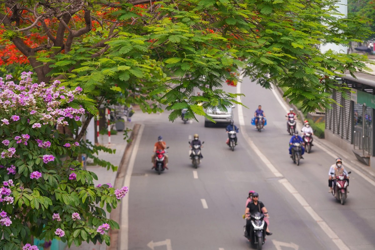 Pho phuong Ha Noi nhuom tim bang lang-Hinh-15