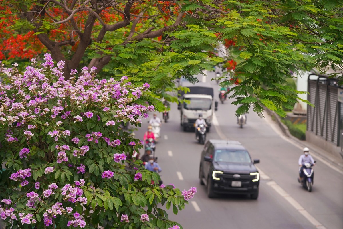 Pho phuong Ha Noi nhuom tim bang lang-Hinh-16