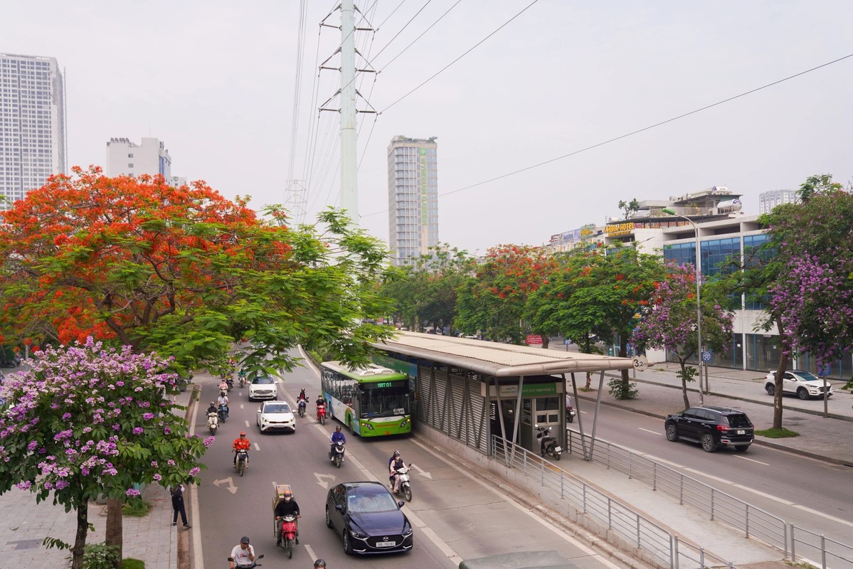 Pho phuong Ha Noi nhuom tim bang lang-Hinh-17