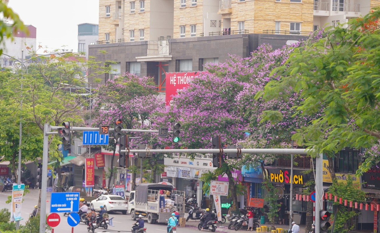 Pho phuong Ha Noi nhuom tim bang lang-Hinh-4