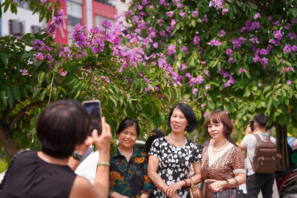 Pho phuong Ha Noi nhuom tim bang lang-Hinh-9