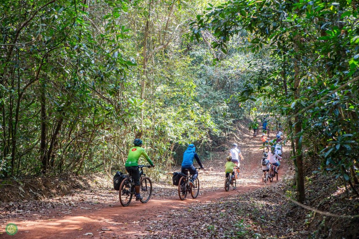 View - 	Thích thú đạp xe xuyên rừng Mã Đà chèo sup trên hồ Trị An