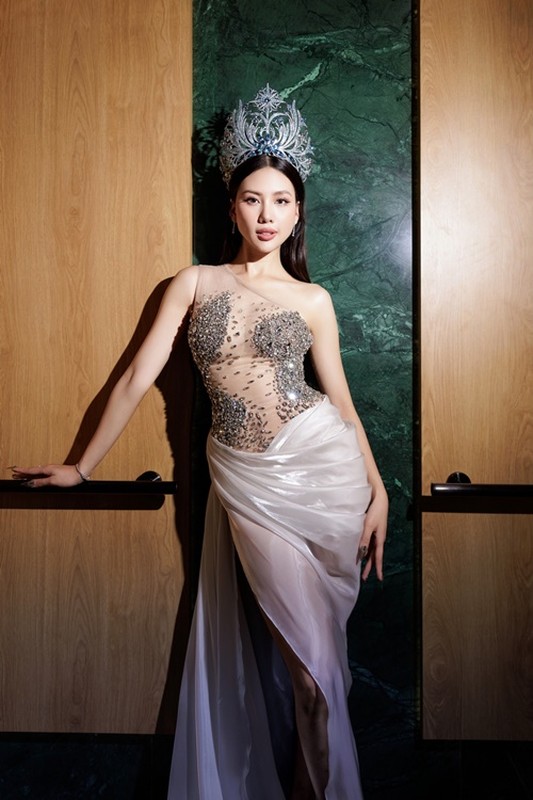 Vo Le Que Anh and a series of beauty queens caused controversy while in the spotlight-Picture-7