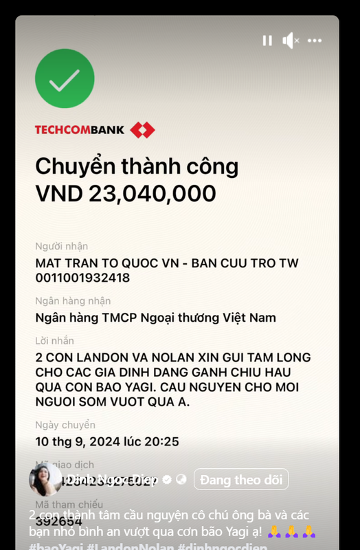 Dan nhoc ti nha sao Viet se chia voi ba con vung lu-Hinh-6