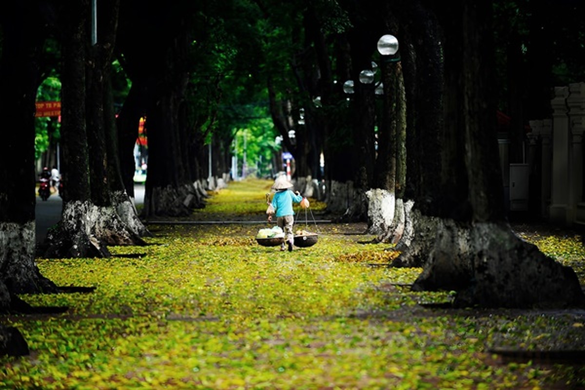 10 khoanh khac khien Ha Noi dep den nao long-Hinh-6