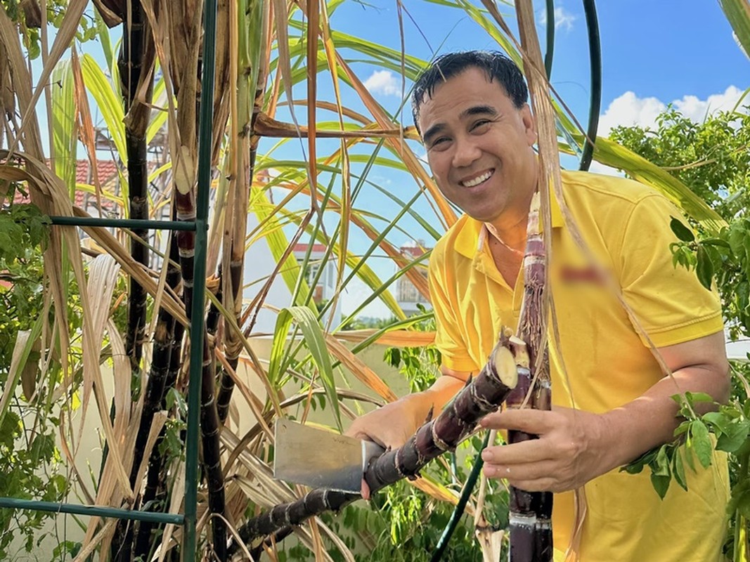 Quyen Linh sieu giau van ngoi bet an mi tom, gian di khong ngo-Hinh-8