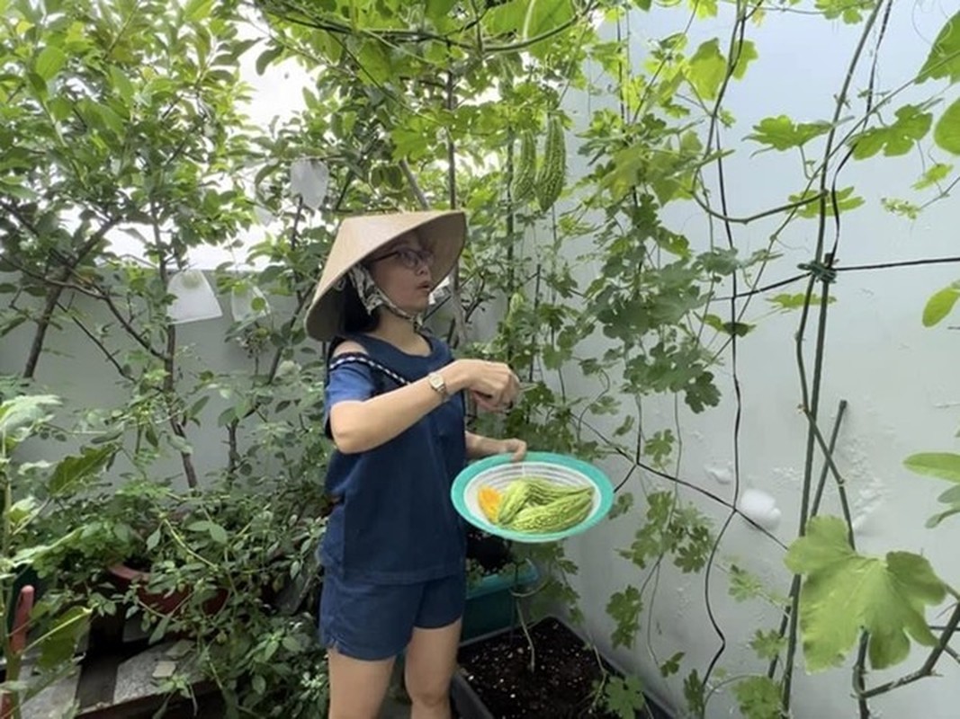 Cuộc sống sau ánh hào quang của Cẩm Ly - Hình 5 Cuoc song sau anh hao quang cua Cam Ly-Hinh-5